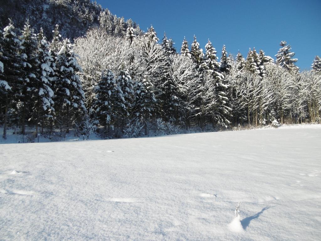 Ferienwohnung Zillertal Bacher Schlitters Kültér fotó